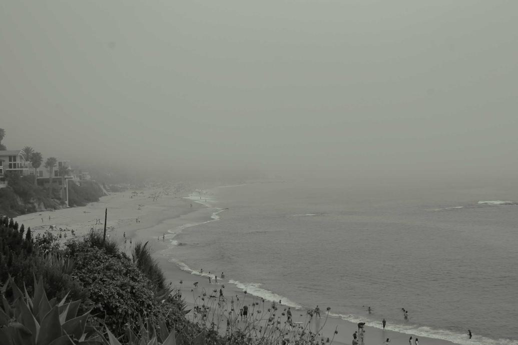 In odit suscipit quia